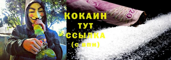 прущие грибы Гатчина