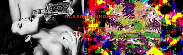 ПСИЛОЦИБИНОВЫЕ ГРИБЫ Россошь