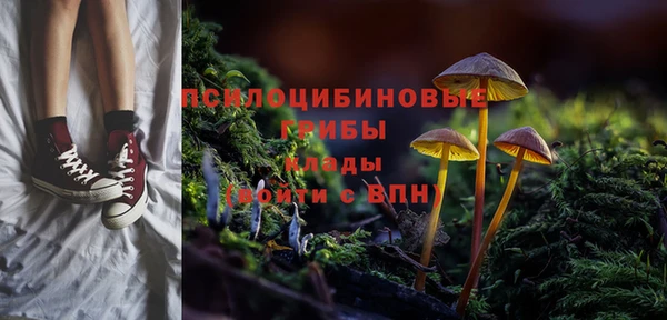 метадон Ростов