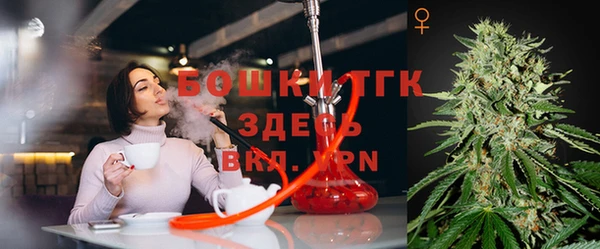ПСИЛОЦИБИНОВЫЕ ГРИБЫ Россошь