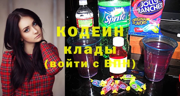 прущие грибы Гатчина